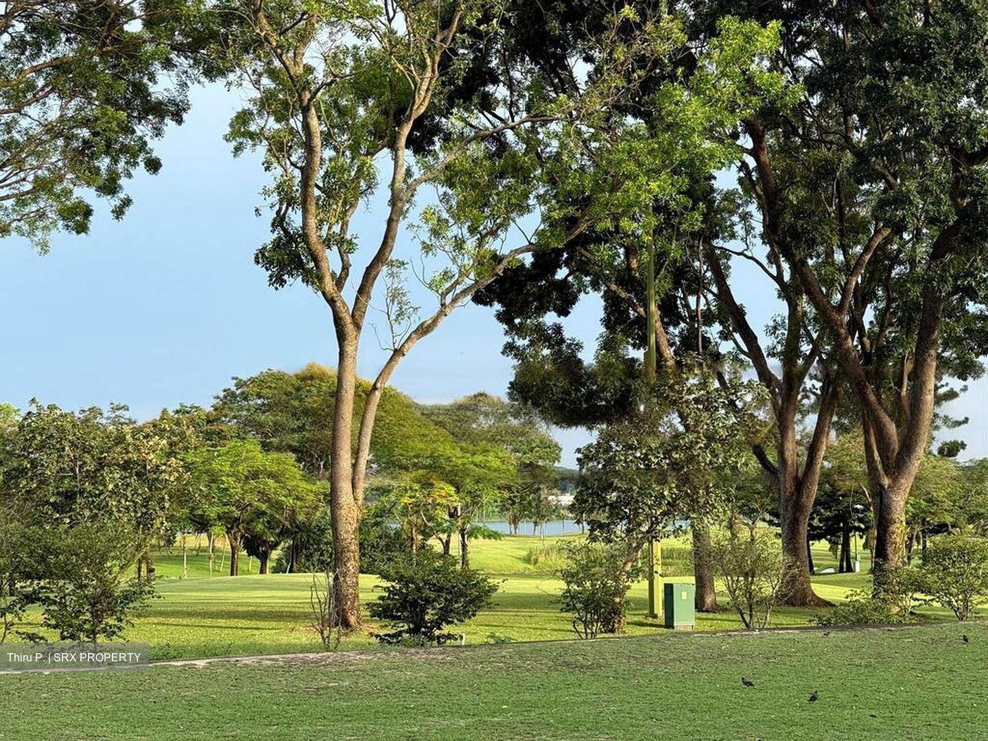 The Miltonia Residences (D27), Condominium #449971301